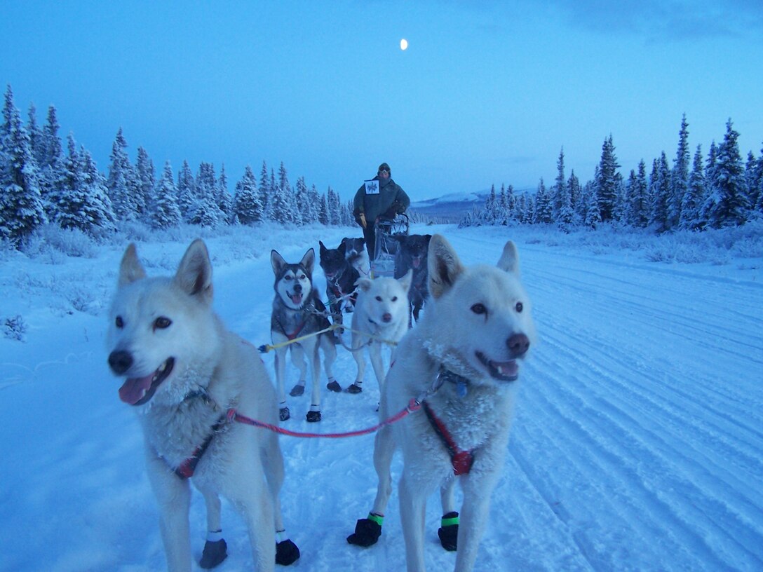 Maj. Roger Lee practices with his sled dogs for the Iditarod Trail Sled Dog Race in Alaska. Lee hopes to qualify for this year's race of more than 1,000 miles from Anchorage to Nome, Alaska.  Lee is a 60th Aerospace Medicine Squadron bioenvironmental engineering operations officer. (Courtesy photo)