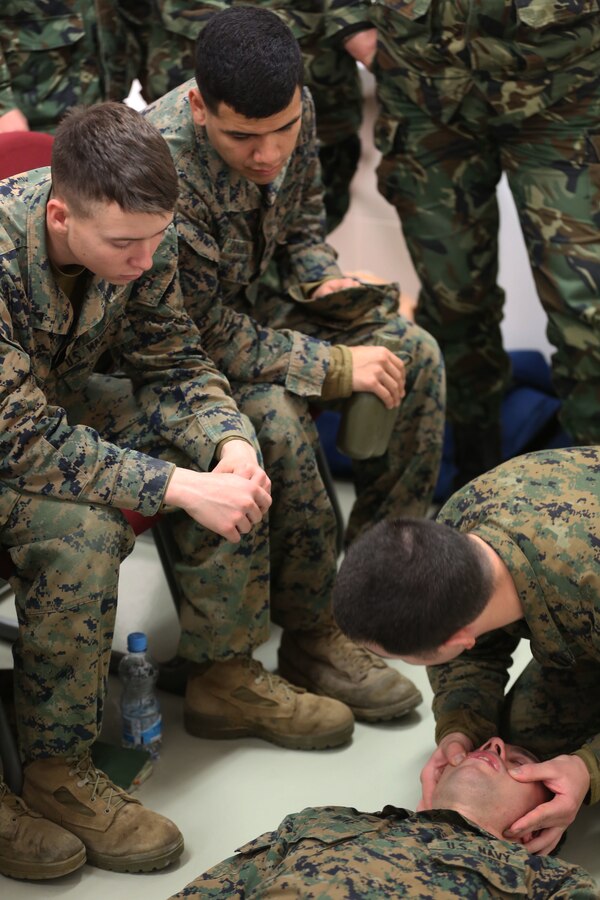 Black Sea Rotational Force Marines listen attentively to a BSRF Corpsman teaching a combat lifesaver class Jan. 13 during Platinum Lion 15 at Novo Selo Training Area, Bulgaria. Combat lifesaver is one of many courses being taught during Platinum Lion. (U.S. Marine Corps photo by Cpl. Ryan Young/released)