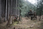 CAMP FUJI, Japan  (Jan. 15, 2015) - A Marine with the 1st Batallion, 1st Marines, kneels into a defensive formation with his platoon while searching for hiding aircrew members. The search was part of the survival, evasion, resistance and escape training conducted by the 36th Airlift Squadron from Yokota Air Base, Japan. 
