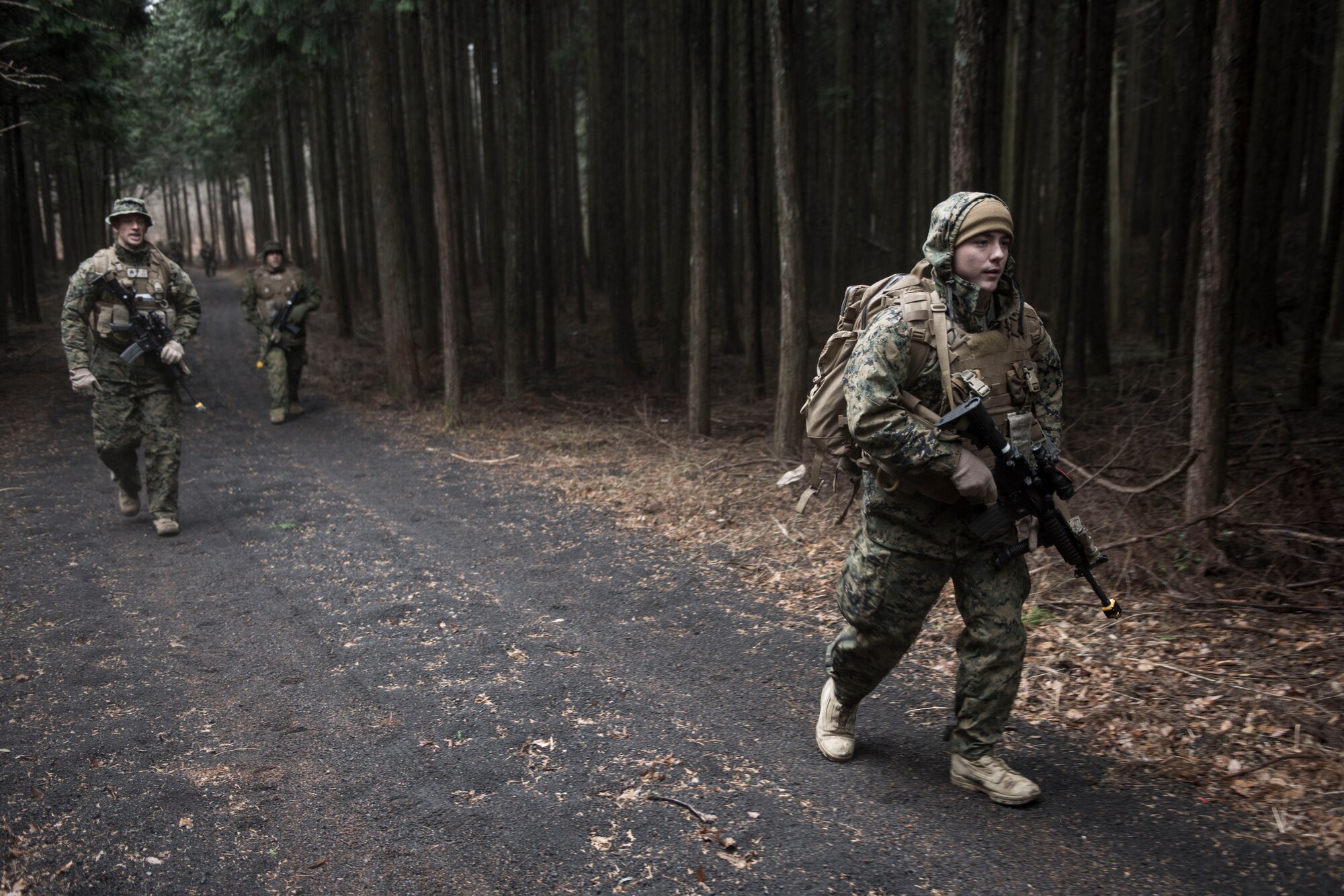 Marines and Sailors with the 1st Batallion, 1st Marines, walk through a thickly wooded area at Camp Fuji, Japan, Jan. 16, 2015. The infantrymen assisted the 36th Airlift Squadron with their survival, evasion, resistance and escape training as simulated enemies searching for aircrew who “crashed” into the foothills of Mt. Fuji. (U.S. Air Force photo by Staff Sgt. Cody H. Ramirez/Released)