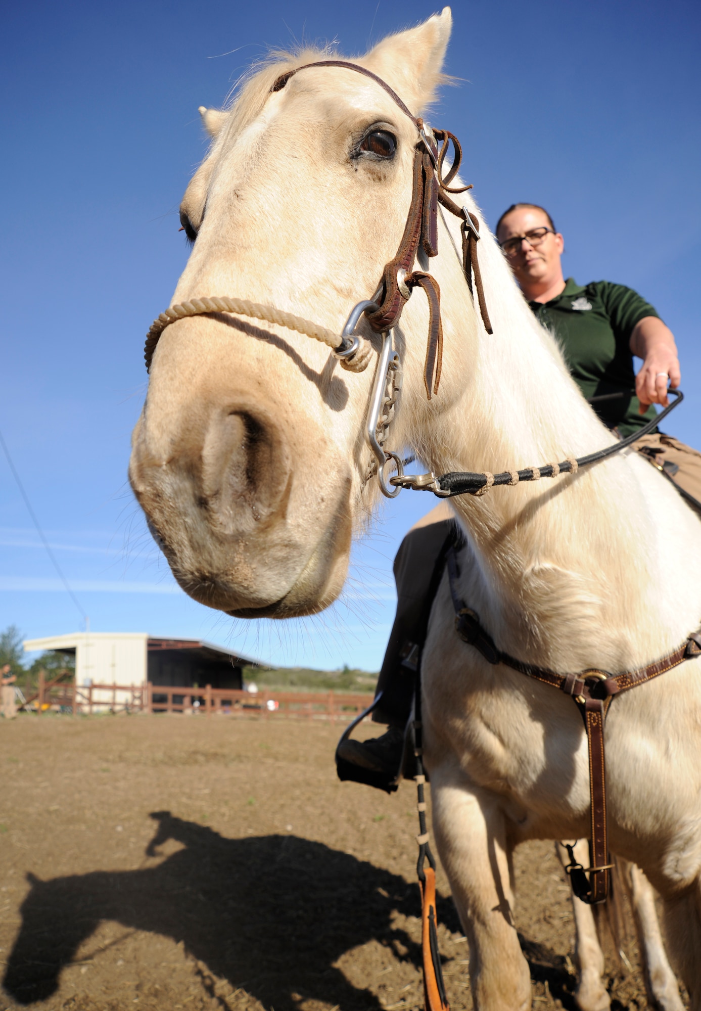 Staff Sgt. Veronica Beyer, 30th Security Forces Squadron horse patrol NCOIC rides Patton around the corral Jan. 14, 2015, Vandenberg Air Force Base, Calif. The conservationists at Vandenberg are responsible for patrolling more than 99,000 acres of land utilizing trucks, ATVs and horses. (U.S. Air Force photo by Airman 1st Class Ian Dudley/Released) 