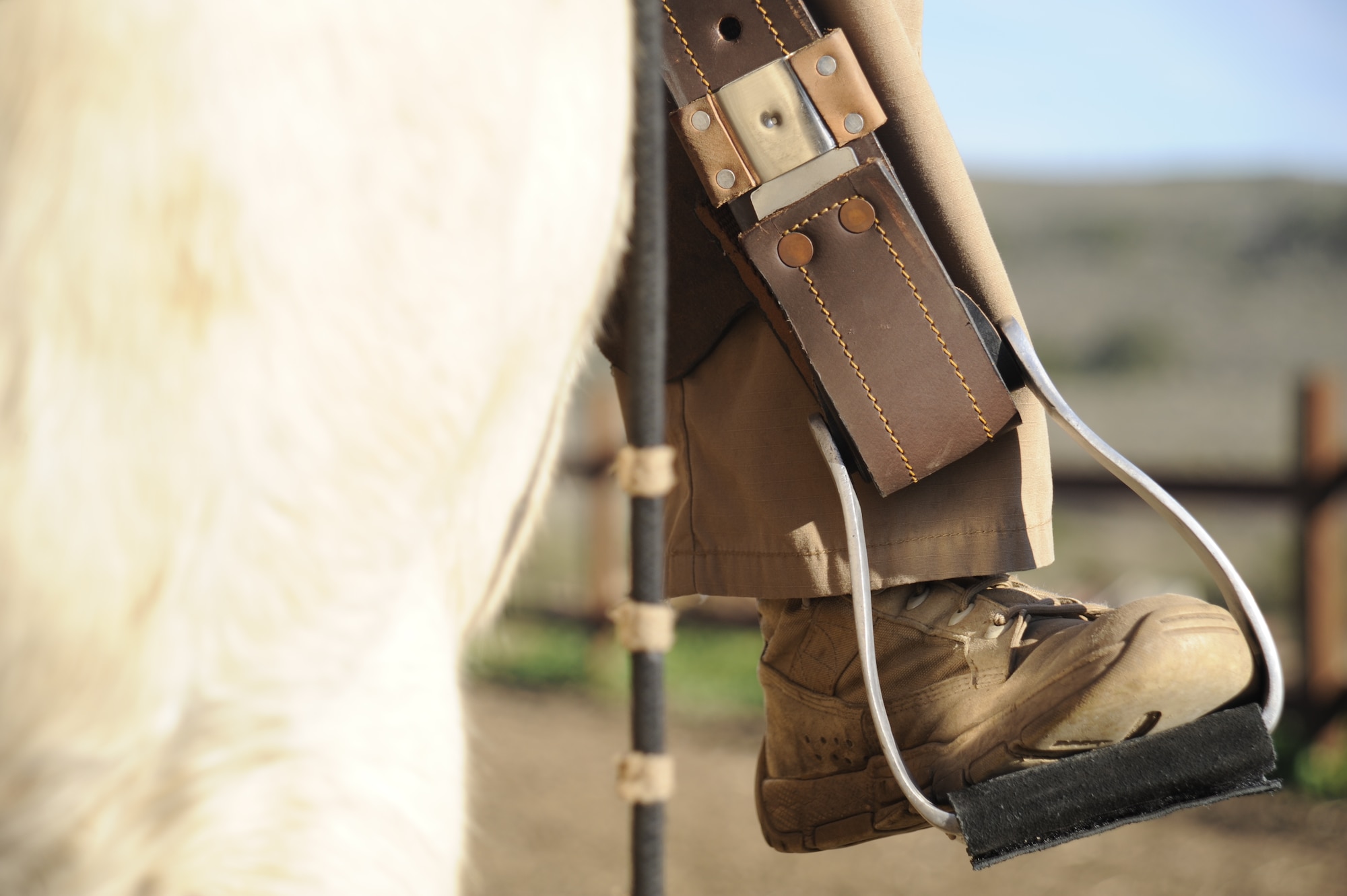 Patton is one of four horses currently used by Vandenberg AFB in conservation efforts Jan. 14, 2015, Vandenberg Air Force Base, Calif. The conservationists at Vandenberg are responsible for patrolling more than 99,000 acres of land utilizing trucks, ATVs and horses.  (U.S. Air Force photo by Airman 1st Class Ian Dudley/Released) 
