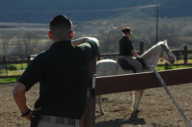 Staff Sgt. Pierre David, 30th Security Forces Squadron horse patrol member, watches as coworker Staff Sgt. Veronica Beyer takes the horse Patton for a walk at the base stables Jan. 14, 2015, Vandenberg Air Force Base, Calif. The 30 SFS horse patrol unit is unique to the Air Force and is responsible for helping secure more than 99,000 acres and 42 miles of base coastline. (U.S. Air Force photo by Michael Peterson/Released)
