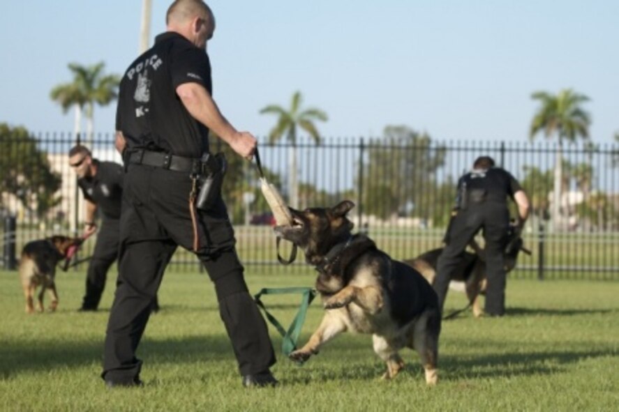 Police officers with the Homestead Police Canine (K-9) Unit demonstrate their service dogs’ obedience and protection drills to high school students Jan. 22 during a two-day mentorship event as part of Special Operations Command South’s Military Assistance Program on Homestead Air Reserve Base, Fla. The program, or SOCMAP as it is more commonly known, was started by SOCSOUTH in an ongoing effort to strengthen ties with the residents of Miami-Dade County. (U.S. Army photo by Staff Sgt. Osvaldo Equite)
