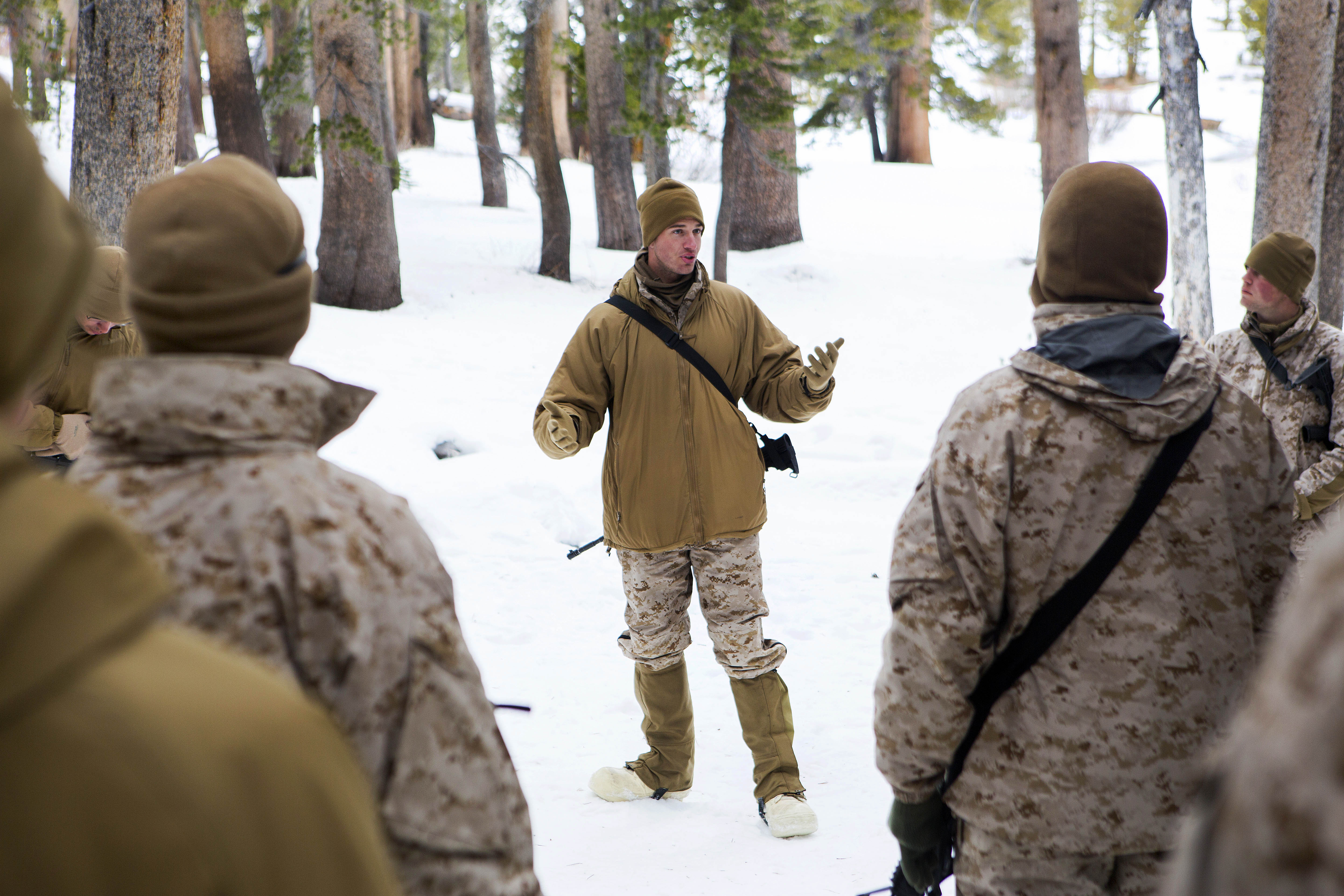 Marine corps winter jacket sale