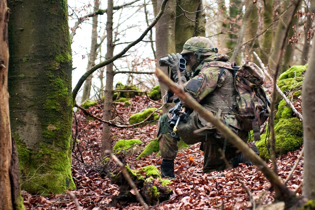 A Dutch army soldier scouts the hilly terrain around an obstacle for signs of opposing forces preparing for ambush that could jeopardize their mission during exercise Allied Spirit I at Hohenfels Training Center, Hohenfels, Germany, Jan. 17, 2015. The Dutch soldier is assigned to the 42nd Armored Infantry Battalion, Limburgse Jagers.