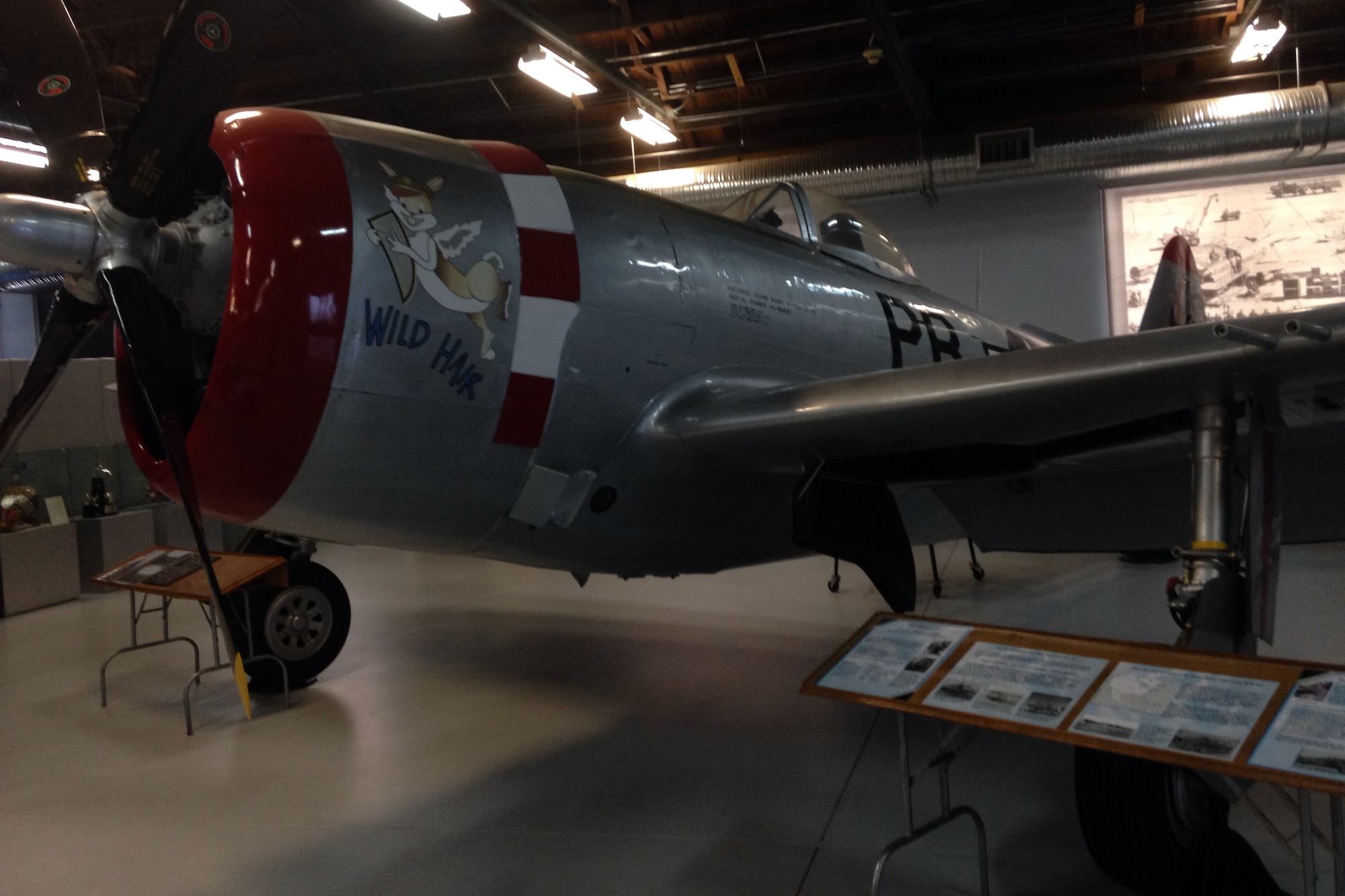 PETERSON AIR FORCE BASE, Colo. -- This P-47 Thunderbolt fighter sat outside for about 30 years, sustaining significant wear and tear over the years. After nearly five years of restoration the aircraft was brought inside and is the oldest aircraft in the museum collection. (U.S. Air Force photo by Dave Smith)