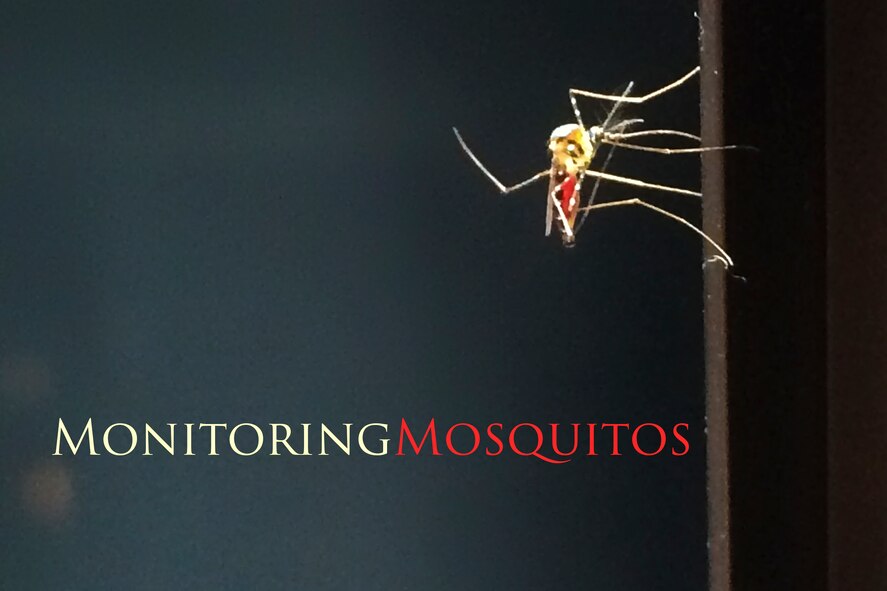 Japanese Enciphalitis is a mosquito-borne virus that can cause encephalitis (brain infection), coma and paralysis. The risk of JE is small and can be prevented with a two-dose series vaccine. (U.S. Air Force photo illustration by Osakabe Yasuo/Released)