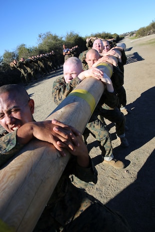 Recruits of India Company, 3rd Recruit Training Battalion, perform side bends during their log drill exercise at Marine Corps Recruit Depot San Diego, Calif., Jan. 6. The log drill exercise is one of many training events required for graduation from Marine Corps recruit training.