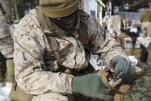 Lance Cpl. Durrell Dowling, a multiplex operator with Combat Logistics Battalion 26, Headquarters Regiment, 2nd Marine Logistics Group, secures his tarp on the bottom of his pack before a movement during a training exercise aboard U.S. Marine Corps Mountain Warfare Training Center at Bridgeport, California, Jan. 26, 2015. The Marines had three classes prior to the movement to their next segment of training, including building survival fires, signaling and building shelters. (U.S. Marine Corps photo by Lance Cpl. Kaitlyn Klein/Released)