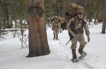 Lance Cpl. Alec Goldammer, an intelligence specialist with Headquarters and Service Company, Combat Logistics Battalion 26, Headquarters Regiment, 2nd Marine Logistics Group, leads a hike high into the mountains during a training exercise aboard U.S. Marine Corps Mountain Warfare Training Center at Bridgeport, California, Jan. 20, 2015. The Marines moved to a site further into the tree line to begin building their bivouac site. (U.S. Marine Corps photo by Lance Cpl. Kaitlyn Klein/Released)