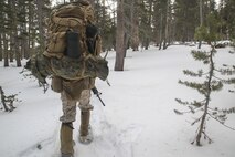 A Marine with Combat Logistics Battalion 26, Headquarters Regiment, 2nd Marine Logistics Group, follows the Marines ahead of him during a hike up to their next bivouac site during a training exercise aboard U.S. Marine Corps Mountain Warfare Training Center at Bridgeport, California, Jan. 20, 2015. The Marines packed their tarps around their mats in order to have an easily-accessible mat to layer between themselves, the tent and the ice. (U.S. Marine Corps photo by Lance Cpl. Kaitlyn Klein/Released)