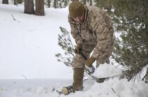 Lance Cpl. Ryan Molik, an admin specialist with Headquarters and Service Company, Combat Logistics Battalion 26, Headquarters Regiment, 2nd Marine Logistics Group, clears snow away from the bivouac site during a training exercise aboard U.S. Marine Corps Mountain Warfare Training Center in Bridgeport, California, Jan. 20, 2015. The Marines used a track plan to dig out fighting positions and areas to set up their tents, and maintained paths to walk among each of the tents throughout the site. (U.S. Marine Corps photo by Lance Cpl. Kaitlyn Klein/Released)