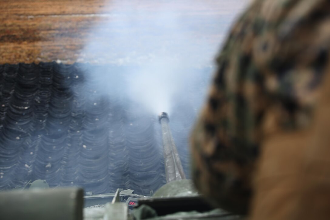 A Marine with Light Armored Vehicle  Platoon, Company B, Ground Combat Element Integrated Task Force, fires the M242 Bushmaster 25mm chain gun , while engaging a target during a live-fire exercise at Range SR-10 aboard Marine Corps Base Camp Lejeune, North Carolina, Jan. 26, 2015. From October 2014 to July 2015, the GCEITF will conduct individual and collective level skills training in designated ground combat arms occupational specialties in order to facilitate the standards based assessment of the physical performance of Marines in a simulated operating environment performing specific ground combat arms tasks. (U.S. Marine Corps photo by Cpl. Paul S. Martinez/Released)