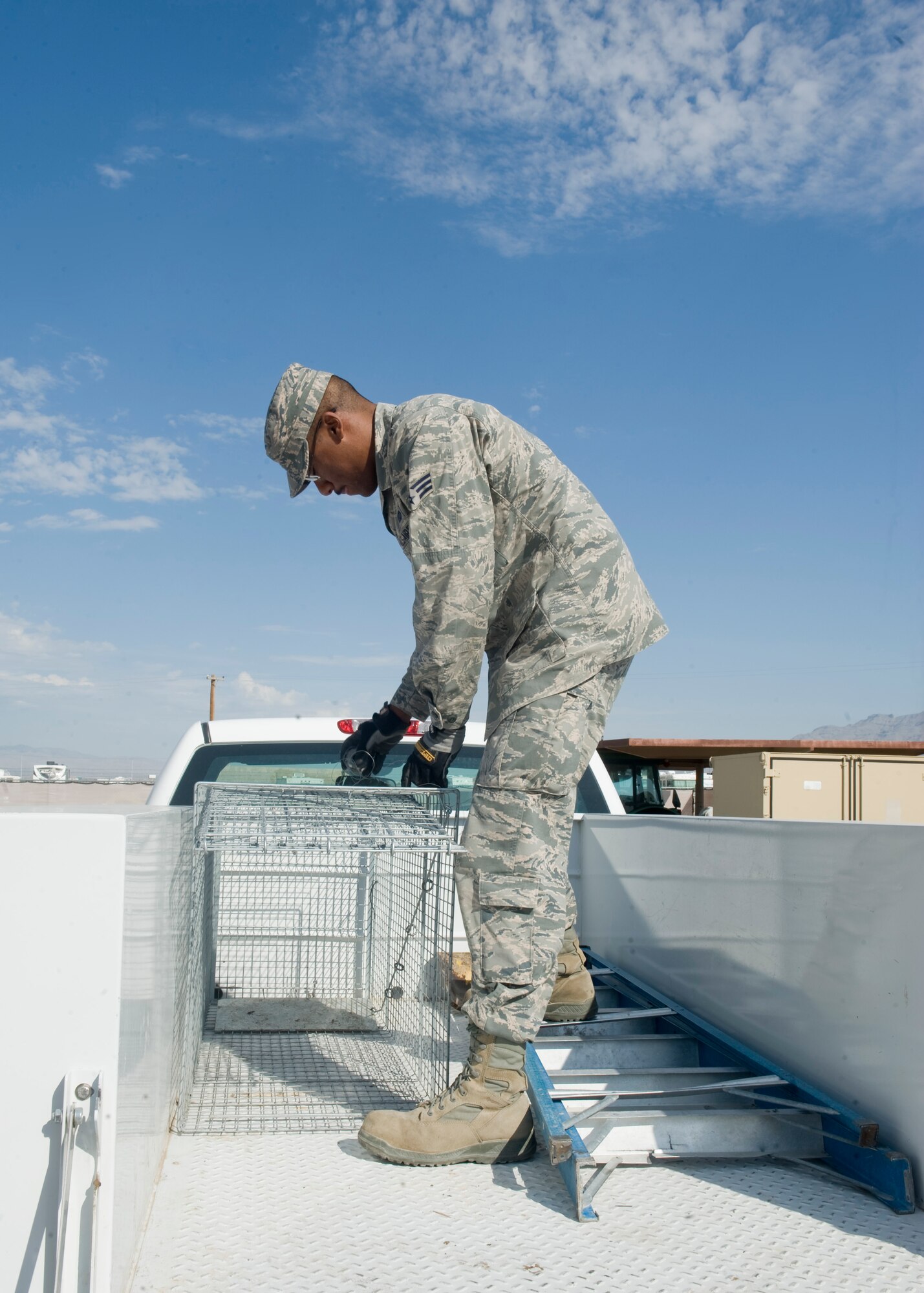 Senior Airman Reuben Moss, 99th Civil Engineer Squadron pest management journeyman, readies a coyote cage on Nellis Air Force Base, Nev., June 29, 2015. Pest management’s mission is to ensure environmentally sound and effective programs are present to prevent pests and disease vectors from adversely affecting Department of Defense operations. (U.S. Air Force photo by Airman 1st Class Rachel Loftis)