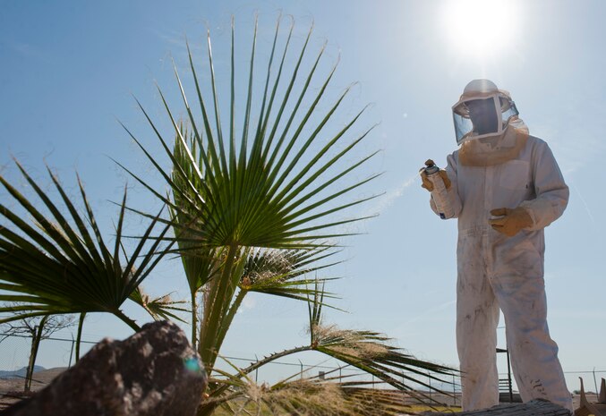 Senior Airman Reuben Moss, 99th Civil Engineer Squadron pest management journeyman, dons a bee suit as he sprays a plant with insecticide on Nellis Air Force Base, Nev., June 29, 2015. Controlling bee nests near buildings can be difficult and hazardous for those with improper equipment, but pest management is equipped with the gear to prevent injuries from bee stings. (U.S. Air Force photo by Airman 1st Class Mikaley Towle)