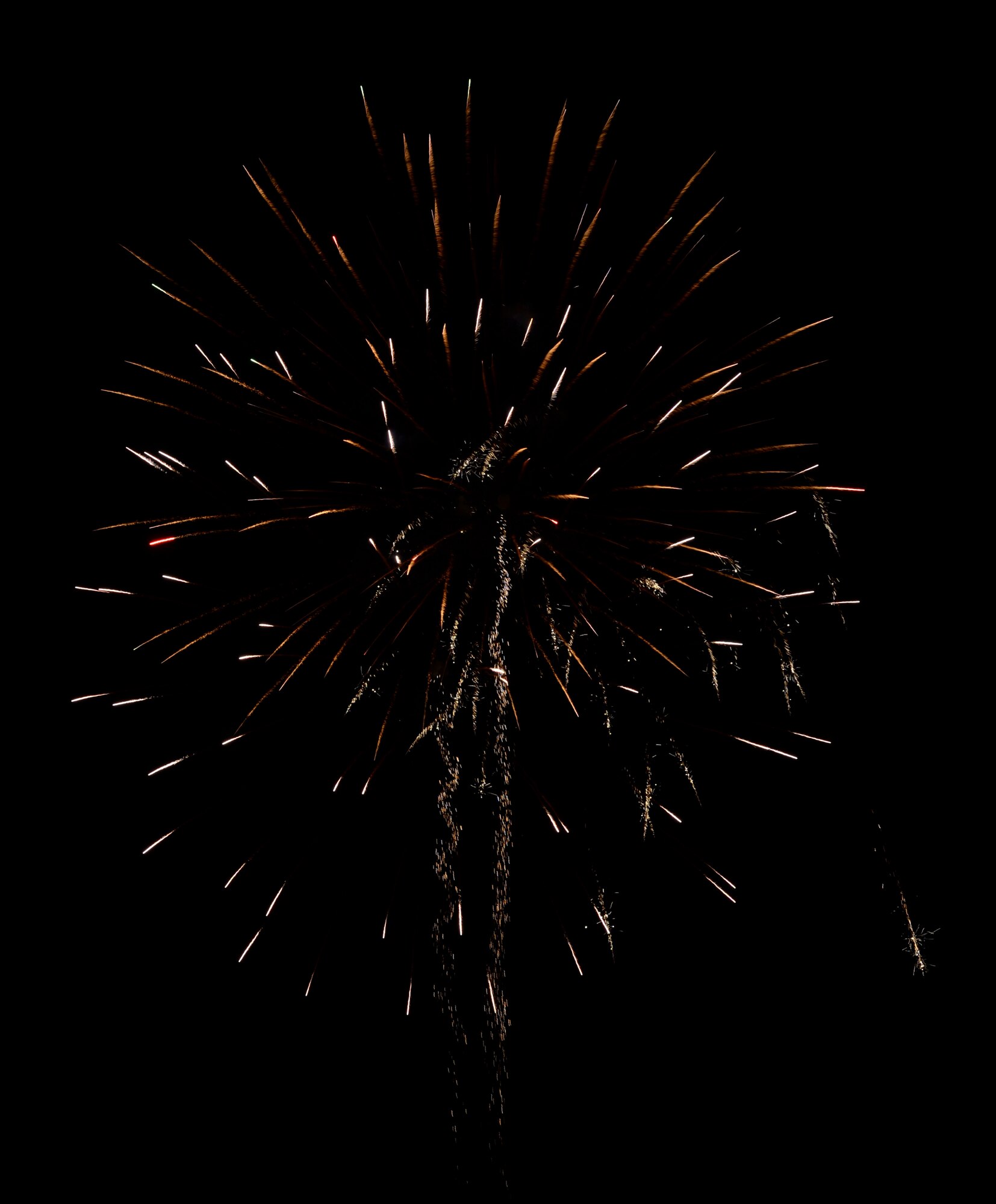 Fireworks bursting in air bring a close to the Freedom Fest Independence Day celebration at Holloman Air Force Base, N.M. July 2, 2015. Freedom Fest took place in the Domenici Fitness and Sports Center parking lot and included carnival games, rides, and live music for Airmen and their families. (U.S. Air Force photo by Staff Sgt. E’Lysia A. Wray /Released)