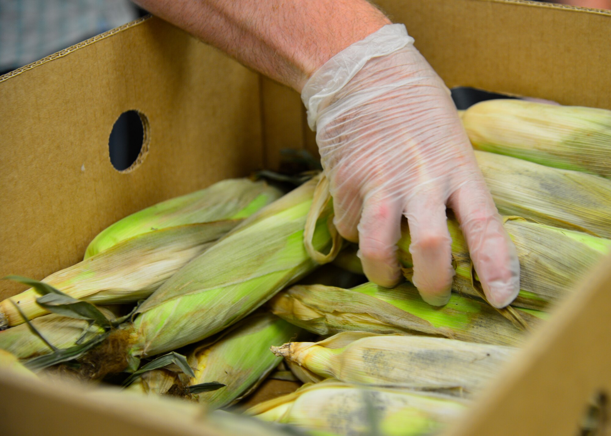 Staff Sgt. Joseph Adams 436th Maintenance Operations Quality Training Program instructor, sorts ears of donated corn July 6, 2015, at the Food Bank of Delaware in Milford, Del. Team Dover Airmen sorted and bagged 1,500 pounds of donated produced to be used in the Senior Lunch Program. (U.S. Air Force photo/Airman 1st Class William Johnson)