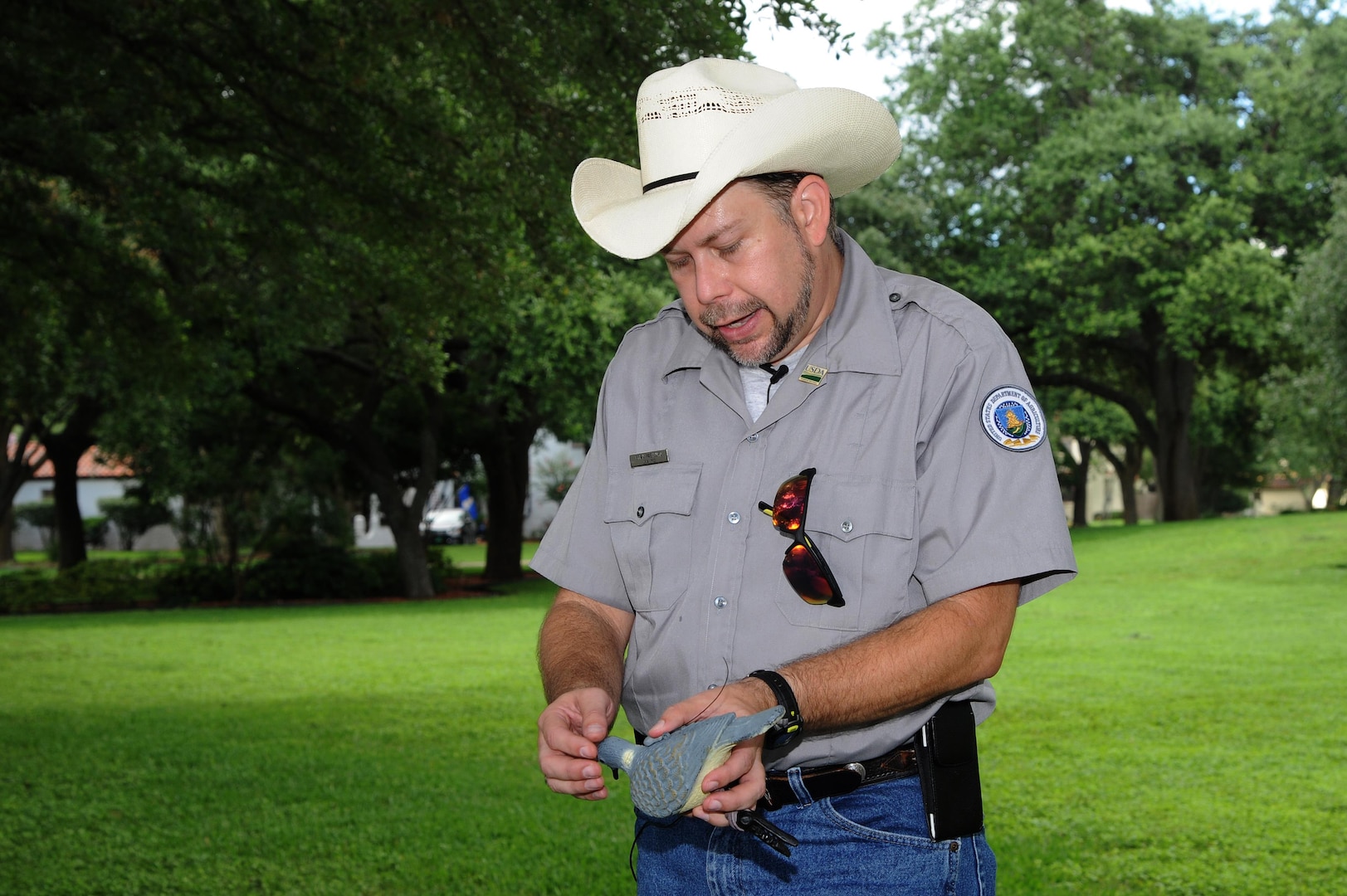 Brian Washburn, U.S. Department of Agriculture research biologist, demonstrates the placement of federal bird bands and transmitters June 23 at Joint Base San Antonio-Randolph. The bands and transmitters placed on birds during the study will be used to gather data on roosting habits and migration patterns.