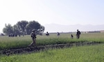 Soldiers of the Iowa National Guard’s 2nd Platoon, Company D, 1st Battalion, 168th Infantry Regiment, Task Force Lethal, 2nd Brigade Combat Team, 34th Infantry Division, TF Red Bulls, and Afghan National Army soldiers conduct a dismounted patrol across farmland near the village of Sahak, Afghanistan, May 10, 2011. The patrol allowed the U.S. and Afghan forces to increase security in the area by removing weapon caches.
