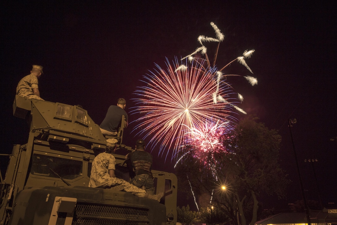 Marines with Marine Wing Support Squadron 374 enjoy the fireworks presentation atop a Medium Tactical Vehicle Replacement during the Twentynine Palms Independence Day celebration at Luckie Park, July 4, 2015. (Official Marine Corps photo by Pfc. Levi Schultz/Released)