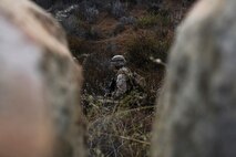 A Marine assigned to Company I, 3rd Battalion, 5th Marine Regiment, patrols through brush during the patrolling portion of the 2015 1st Marine Division Super Squad Competition aboard Marine Corps Base Camp Pendleton, Calif., June 30, 2015. The Marines and Sailors tested their abilities to conduct infantry operations for the title of super squad.