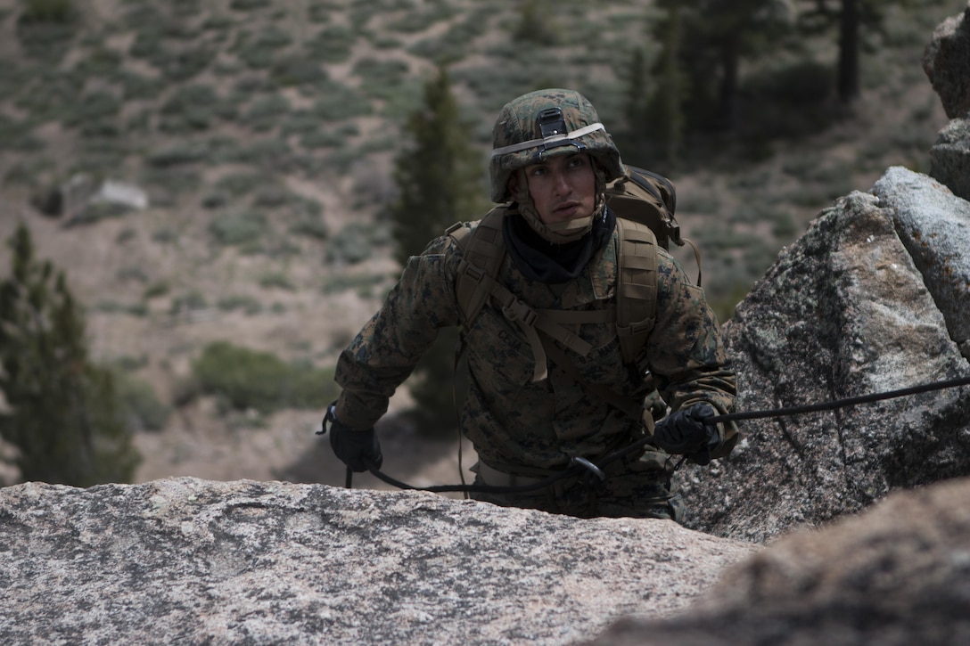 U.S. Marine corps Lance Cpl.Fransico Ceja with Weapons Company, 1st Battalion, 2nd Marine Regiment (1/2), 2D Marine Division (MARDIV), conducts repelling exercises at the Marine Corps Mountain Warfare Training Center (MCMWTC), Calif., June 3, 2015. 1/2 participated in the exercise at MCMWTC to prepare themselves for mountainous environments. (U.S. Marine Corps photo by Cpl. John A. Hamilton Jr., 2D MARDIV Combat Camera/Released)