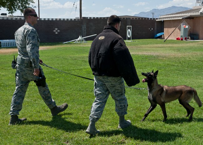 Staff Sgt. Logan Fitzgerald (left), 99th Security Forces Squadron military working dog handler, performs the guard technique with his dog, Erik, at the MWD training grounds on Nellis Air Force Base, Nev., June 29, 2015. MWDs are trained to obey their handlers and listen to commands as they are called. If MWDs see a threat aimed toward their handler, they will protect them by any means necessary. (U.S. Air Force photo by Airman 1st Class Jake Carter)