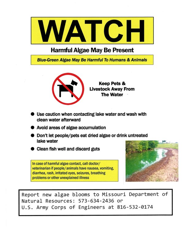 Camp Branch swim beach closed at Smithville Lake for precautionary