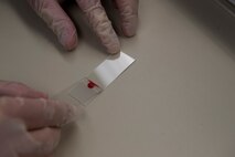 Senior Airman Luis Poblano, 5th Medical Support Squadron laboratory technician, prepares a blood sample for examination at Minot Air Force Base, N.D, July 8, 2015. Examinations like these are important to the Minot mission because they make sure Airmen are fit to fight. (U.S. Air Force photo/Airman 1st Class Christian Sullivan)