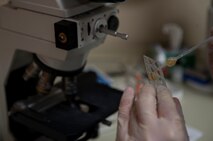 Senior Airman Luis Poblano, 5th Medical Support Squadron laboratory technician, prepares a sample to examine at Minot Air Force Base, N.D., July 8, 2015. Urinalysis is a key part in maintaining Air Force standards of being fit to fight and Airmen readiness. (U.S. Air Force photo/Airman 1st Class Christian Sullivan)