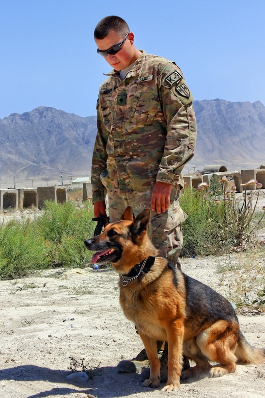 U.S. Army Spc. Anthony Andrews stands with Andy, his military working dog, before starting training on Tactical Base Gamberi, Afghanistan, June 27, 2015. Andrews is assigned to the 101st Airborne Division's 3rd Brigade Combat Team and deployed from the 18th Military Police Brigade in Germany.