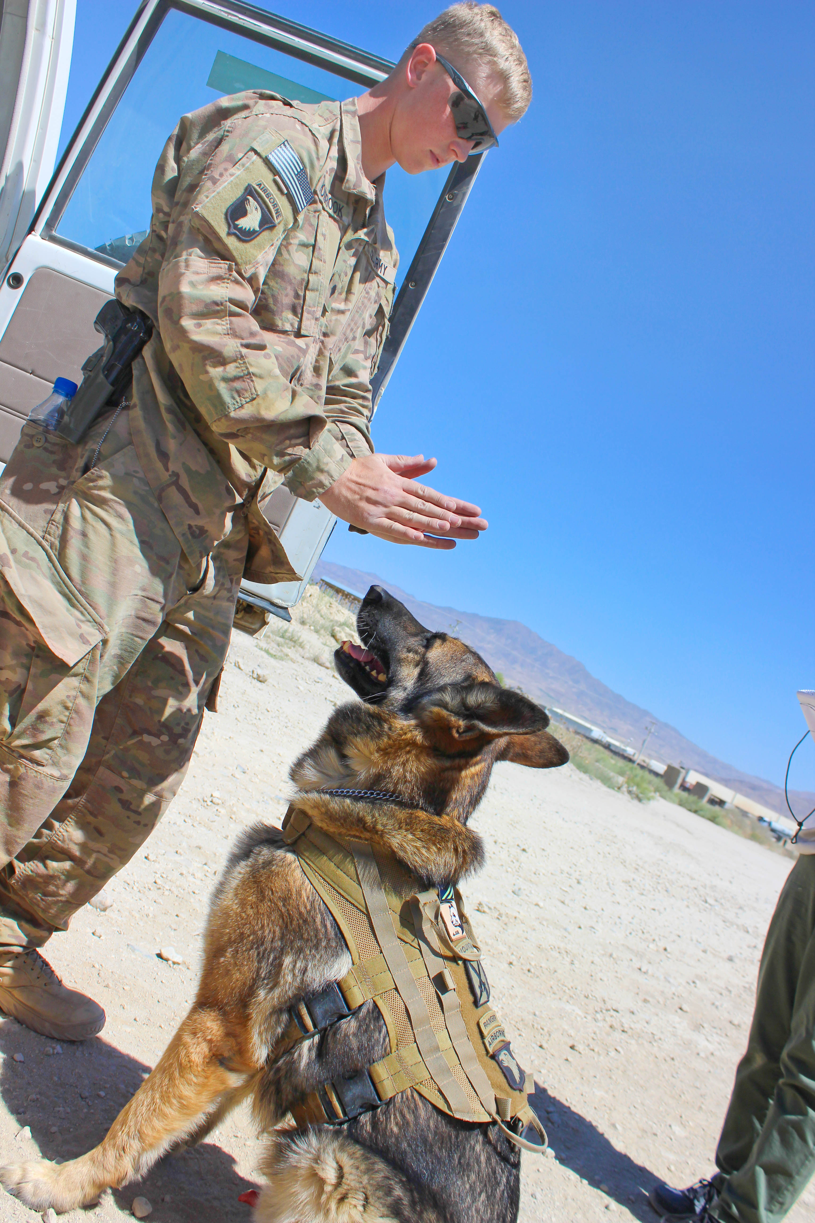 U S Army Spc Craig Holbrook And Niko A Military Working