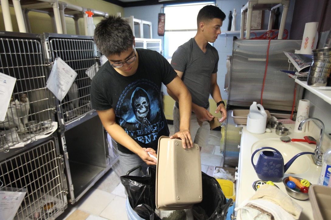 Sgt. Christopher Legeune feeds a dog at the Carteret County Humane Society and Animal Shelter in Newport, N.C., July 11, 2015 The Single Marine Program at Marine Corps Air Station Cherry Point accounted for one-third of the total volunteer hours for the entire SMP across the Marine Corps. Marines and Sailors of Cherry Point volunteer weekly in various locations such as the animal shelter, retirement homes and home builds. Legeune is an aviation data specialist with Marine Aircraft Group 14.