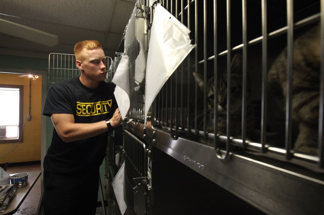 Pfc. Nicholas Zyliak cleans cat cages in the cat room at the Carteret County Humane Society and Animal Shelter in Newport, N.C., July 11, 2015. The Single Marine Program at Marine Corps Air Station Cherry Point accounted for one-third of the total volunteer hours for the entire SMP across the Marine Corps. Marines and Sailors of Cherry Point volunteer weekly in various locations such as the animal shelter, retirement homes and home builds. Zyliak is a student at Center for Naval Aviation Technical Training.