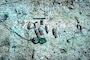 Shrapnel and a rotating band from 37mm ammunition identified at the former Dry Canyon Artillery Range in the Los Padres National Forest near Frazier Park, California.