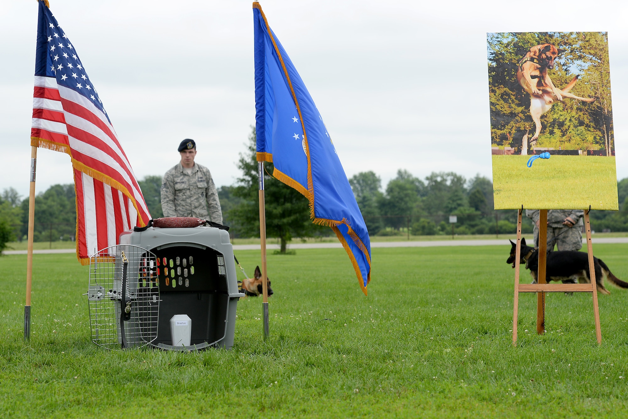 The 375th Security Forces Squadron military working dog section hosted a memorial service for Military Working Dog Breston. He was put down June 18, 2015, due to health issues at the Scott Air Force Base veterinary clinic. Breston was a patrol and drug detector dog who served in Afghanistan. He was set to retire in July, but was diagnosed with cancer June 18. (U.S. Air Force photo/ Airman 1st Class Kiana Brothers)