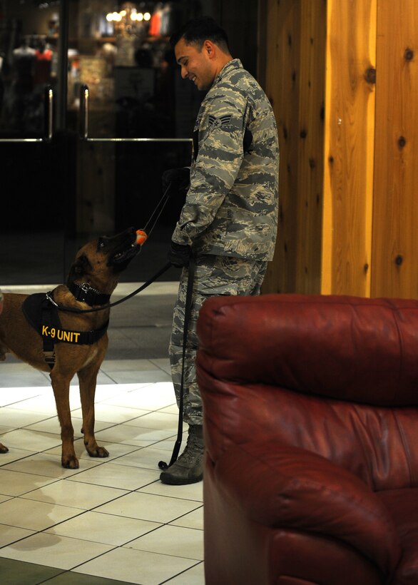 U.S. Air Force Senior Airman Jerry Quintanilla, 7th Security Forces Squadron K-9 handler, gives a ball to his military working dog Ddewey June 23, 2015, Abilene, Texas. The K-9 handlers conducted a training exercise at the Mall of Abilene, where they planted different wires and contraband for the military working dogs to find. Ddewey was rewarded with his ball after finding the planted contraband. (U.S. Air Force photo by Senior Airman Shannon Hall/Released)


