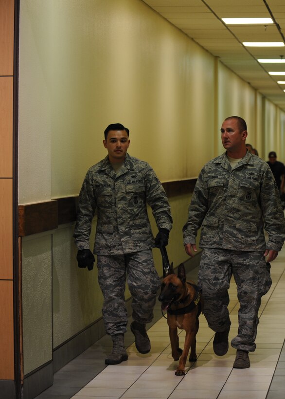 U.S. Air Force Senior Airman Jerry Quintanilla, left, and Staff Sgt. Sean Davis, 7th Security Forces Squadron K-9 handlers, enter the Mall of Abilene with military working dog Ddewey June 23, 2015, Abilene, Texas. The K-9 handlers conducted a training exercise at the local mall to offer the military working dogs a different environment to train in. (U.S. Air Force photo by Senior Airman Shannon Hall/Released)

