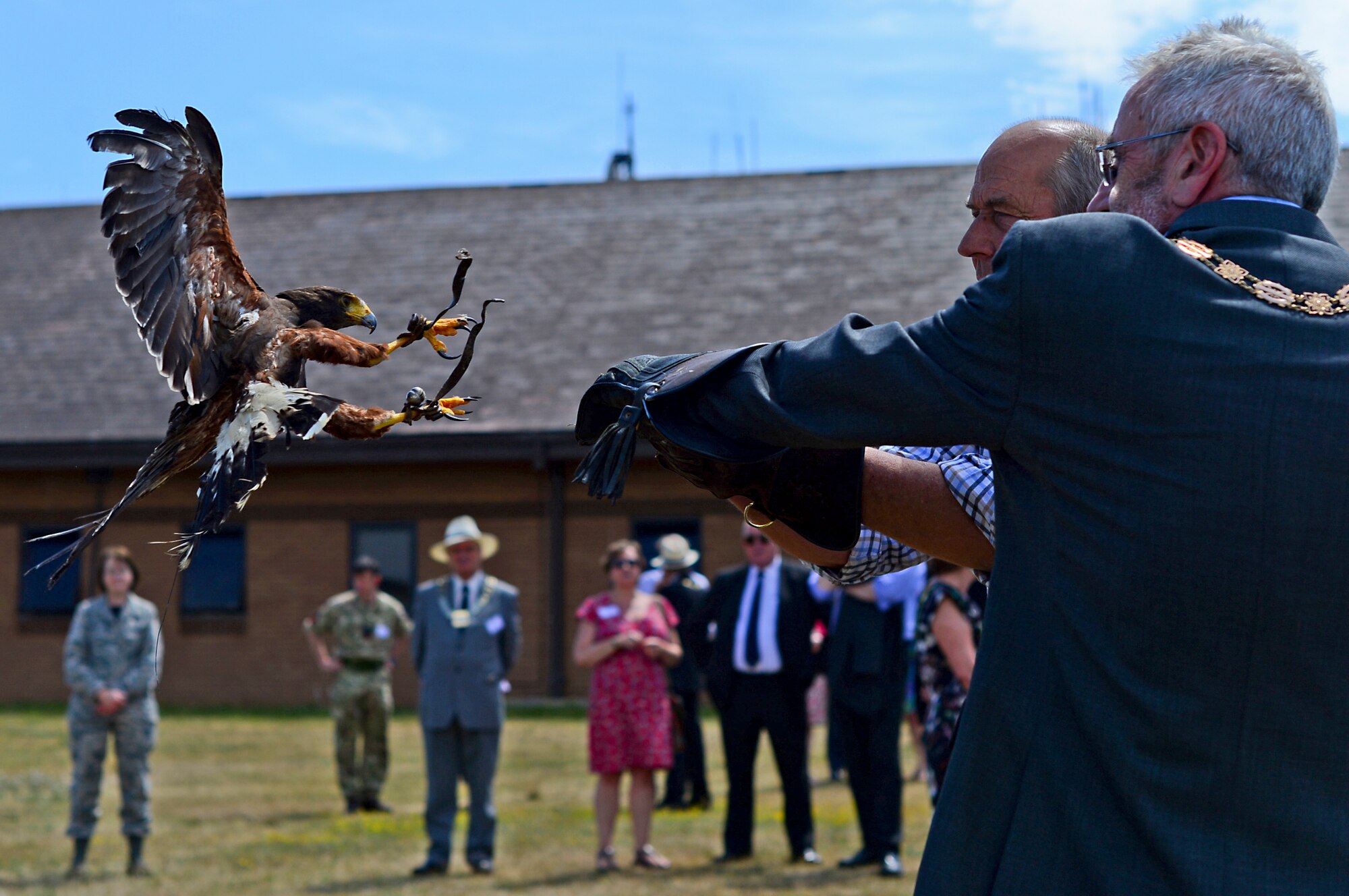 Keith Mutton, Phoenix Bird Control falconer, assists a local British dignitary during a birds of prey demonstration at Royal Air Force Lakenheath, England, July 10, 2015. Honorary Commanders and local British dignitaries were treated to a birds of prey and military working dog demonstration and several unit displays, providing Airmen the opportunity to interact with key leaders and local British dignitaries. (U.S. Air Force photo by Senior Airman Erin O’Shea/Released)