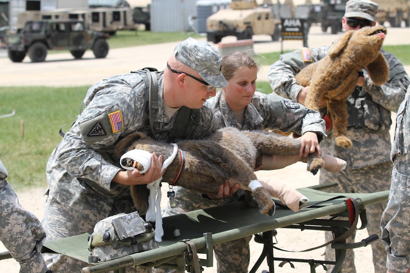 U.S. Army Reserve Capt. Robert Miller, with the 994th Veterinary Detachment out of Round Rock, Texas, demonstrates life-saving techniques for injured working dogs on Fort McCoy, Wis., June 17, during Global Medic. Global Medic is the premier medical portion of the 78th Training Division’s Combat Support Training Exercise (CSTX) 78-15-02, which is the largest U.S. Army Reserve exercise, with more than 10,000 service members. (U.S. Army photo by Sgt. Daniel Butcher, 343rd Public Affairs Detachment/Released)