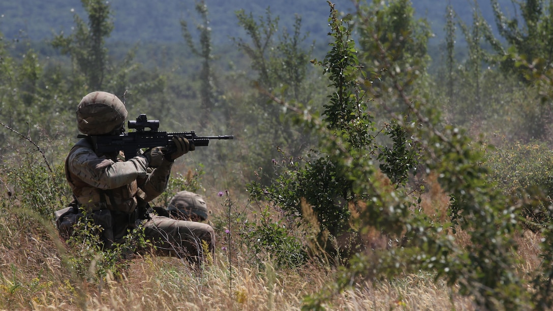 A United Kingdom Royal Marine commando fires across the platoon live-fire range during the final exercise of Platinum Lion 15-3. The two-week training exercise is designed to strengthen the partnership between NATO nations and share knowledge to improve military skill sets. The culminating final event consisted of cordon and search operations, intelligence gathering and live-fire maneuver training. The U.K. Marine is with 40 Commando, 3 Commando Brigade.