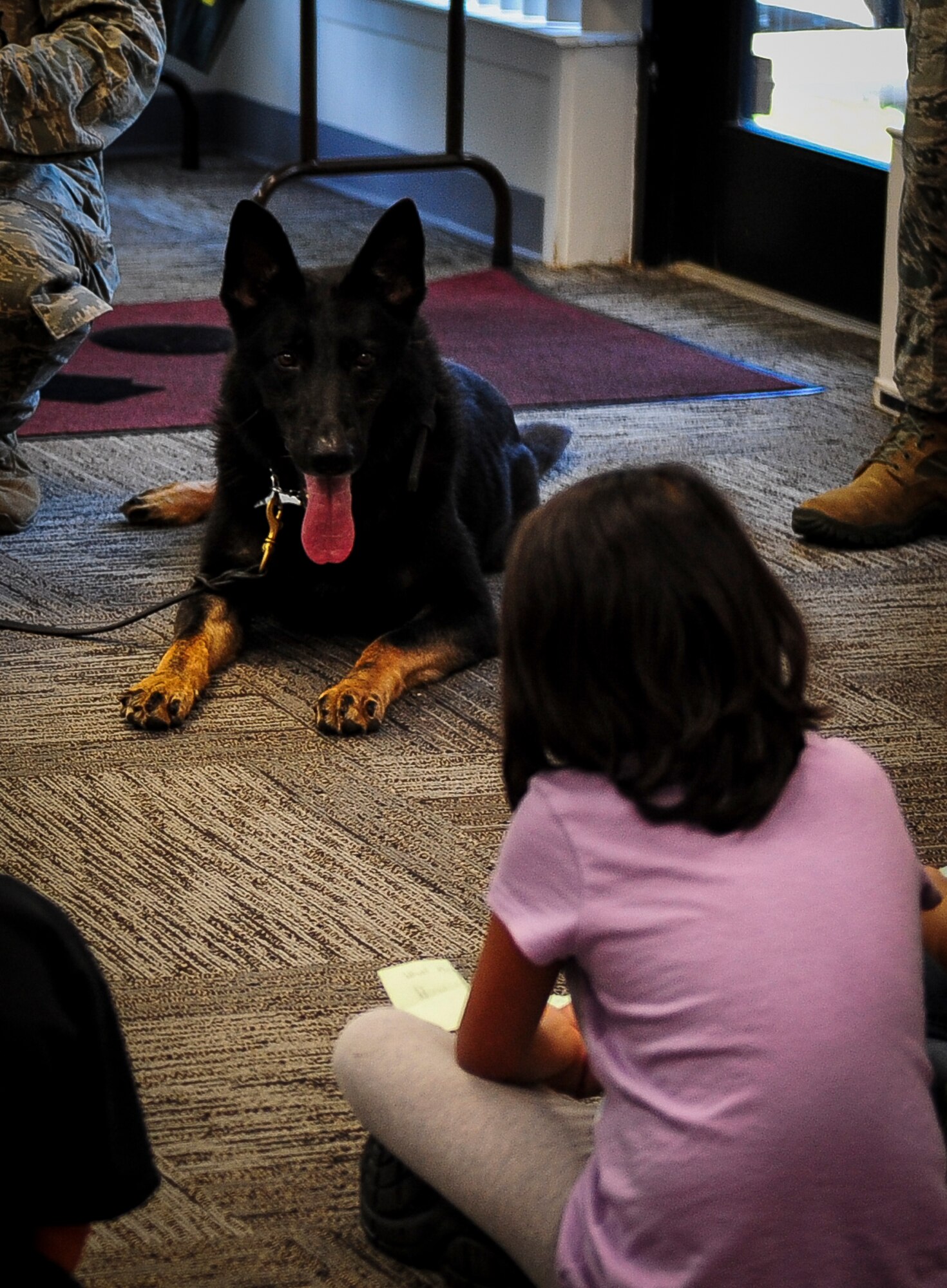Cleo, 1st Special Operations Security Forces Squadron military working dog, looks at a child during a visit at the Mary Esther public library, July 15, 2015, in Mary Esther, Fla. The library hosted a Military Animal Heroes event as part of their Summer Reading Program and Hurlburt Field’s K9 unit was invited to come speak about their profession. (U.S. Air Force photo/Senior Airman Meagan Schutter)