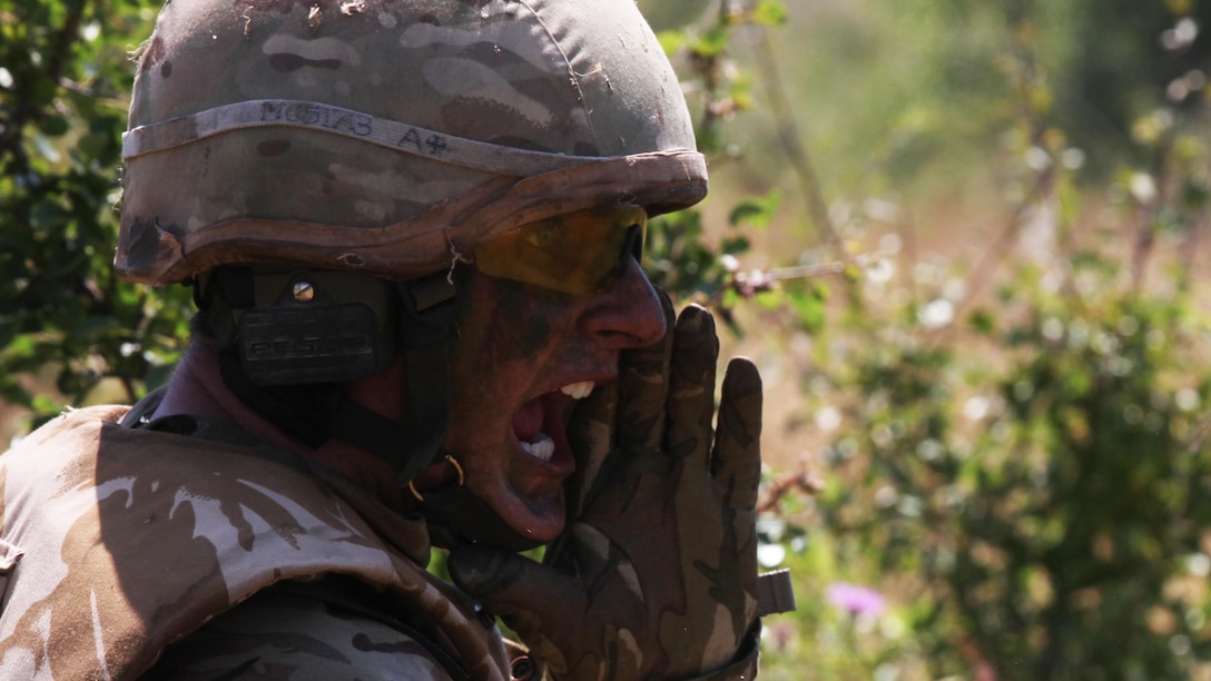 A United Kingdom Royal Marine commando yells across the platoon live-fire range during the final exercise of Platinum Lion 15-3. The two-week training exercise is designed to strengthen the partnership between NATO nations and share knowledge to improve military skill sets. The culminating final event consisted of cordon and search operations, intelligence gathering and live-fire maneuver training. The U.K. Marine is with 40 Commando, 3 Commando Brigade.