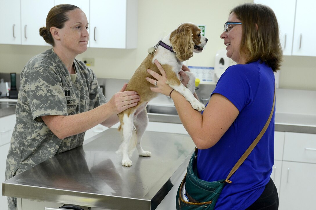 U.S. Army Capt. Dr. Annie Eure, Andersen Air Force Base Veterinary Services Branch chief, examines Sally the dog July 8, 2015, at Andersen AFB, Guam. The Andersen AFB Veterinary Treatment Facility provides veterinary services for MWDs, U.S. Department of Agriculture dogs and privately owned animals. (U.S. Air Force photo by Airman 1st Class Alexa Ann Henderson/Released)