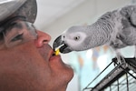 Trust is a key ingredient when dealing with Soldiers -- or with a parrot named Loco, who “runs” the headquarters office of al-Bahar and Bardawil Service, the company in charge of maintaining and fixing all non-tactical vehicles for the U.S., British and Iraqi personnel living and working on Contingency Operating Base Basra. Army National Guard Sgt. 1st Class Daniel Leon, the readiness noncommissioned officer for B Company, 36th Division Special Troops Battalion, has become a familiar and friendly face at B & B Service, a place he visits frequently when he puts on his additional hat as the contracting officer representative.