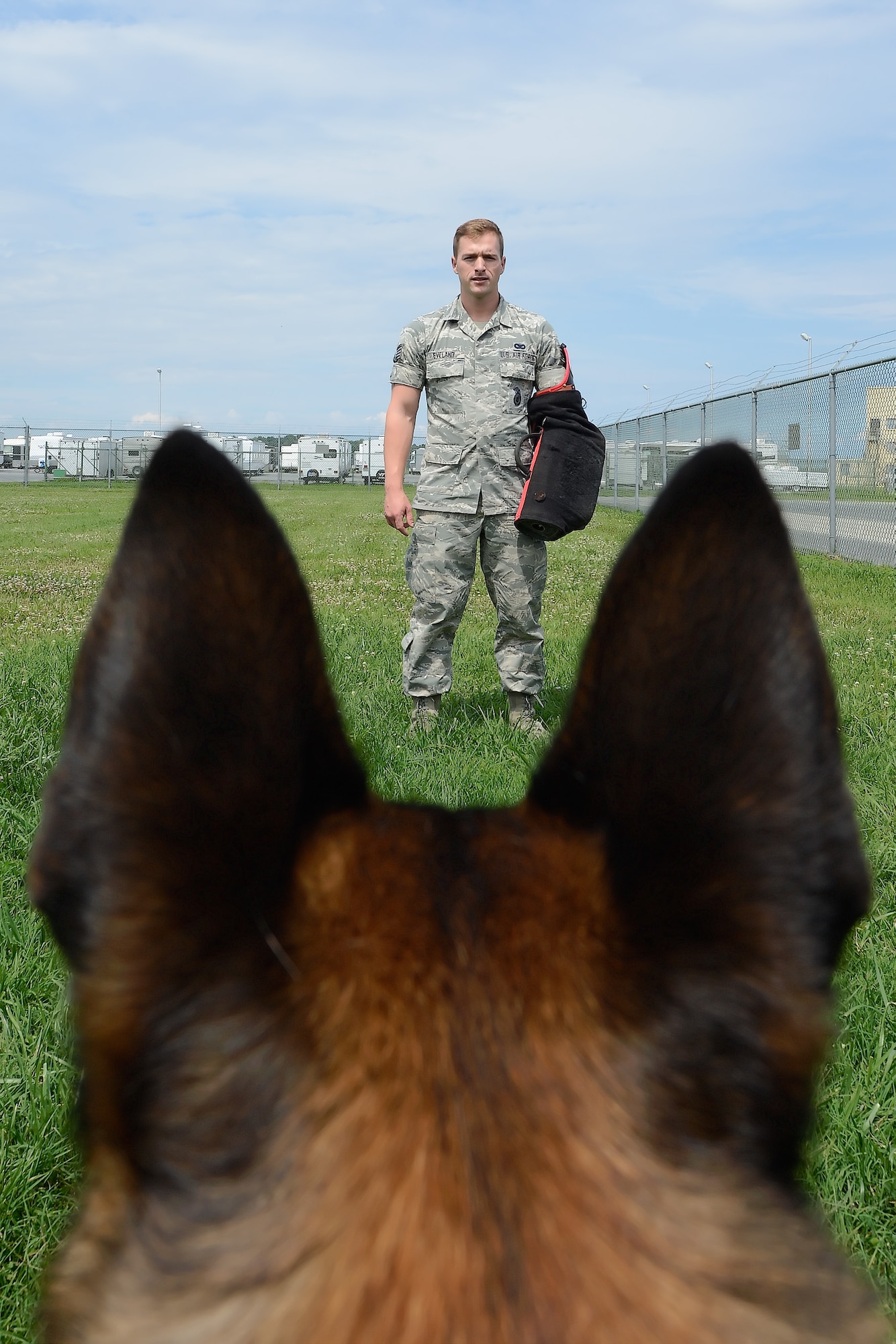 Staff Sgt. Craig Eveland, 436th Security Forces Squadron Military Working Dog handler, is framed between the ears of MWD 'Karlo' during a training event July 13, 2015, at Dover Air Force Base, Del. Eveland wears a protective sleeve which allows the dog to bite without hurting him. (U.S. Air Force photo/Greg L. Davis)