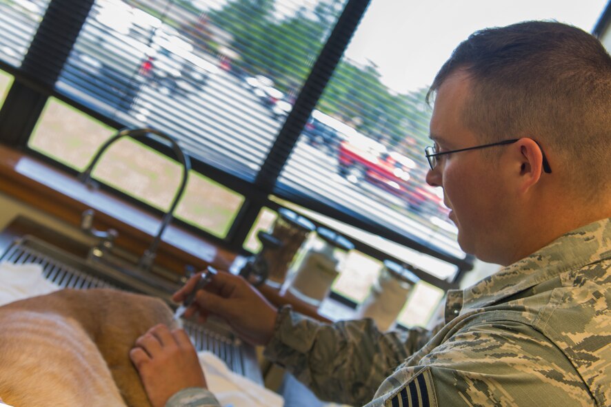 U.S. Air Force Staff Sgt. Erik Smith, 822d Base Defense Squadron military working dog handler, gives a military working dog a sedative after surgery July 16, 2015, at Moody Air Force Base, Ga. Smith applied an anesthetic to ensure the canine didn’t wake up in pain following the surgery. (U.S. Air Force photo by Airman 1st Class Dillian Bamman/Released)