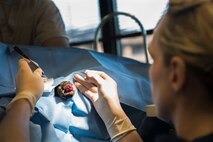 U.S. Army Capt. (Dr.) Allison Brekke, 23d Aerospace Medicine Squadron officer in charge of veterinary services, performs surgery on a military working dog’s foot July 17, 2015, at Moody Air Force Base, Ga. Breeke surgically removed an infection in the canine’s paw. (U.S. Air Force photo by Airman 1st Class Dillian Bamman/Released)