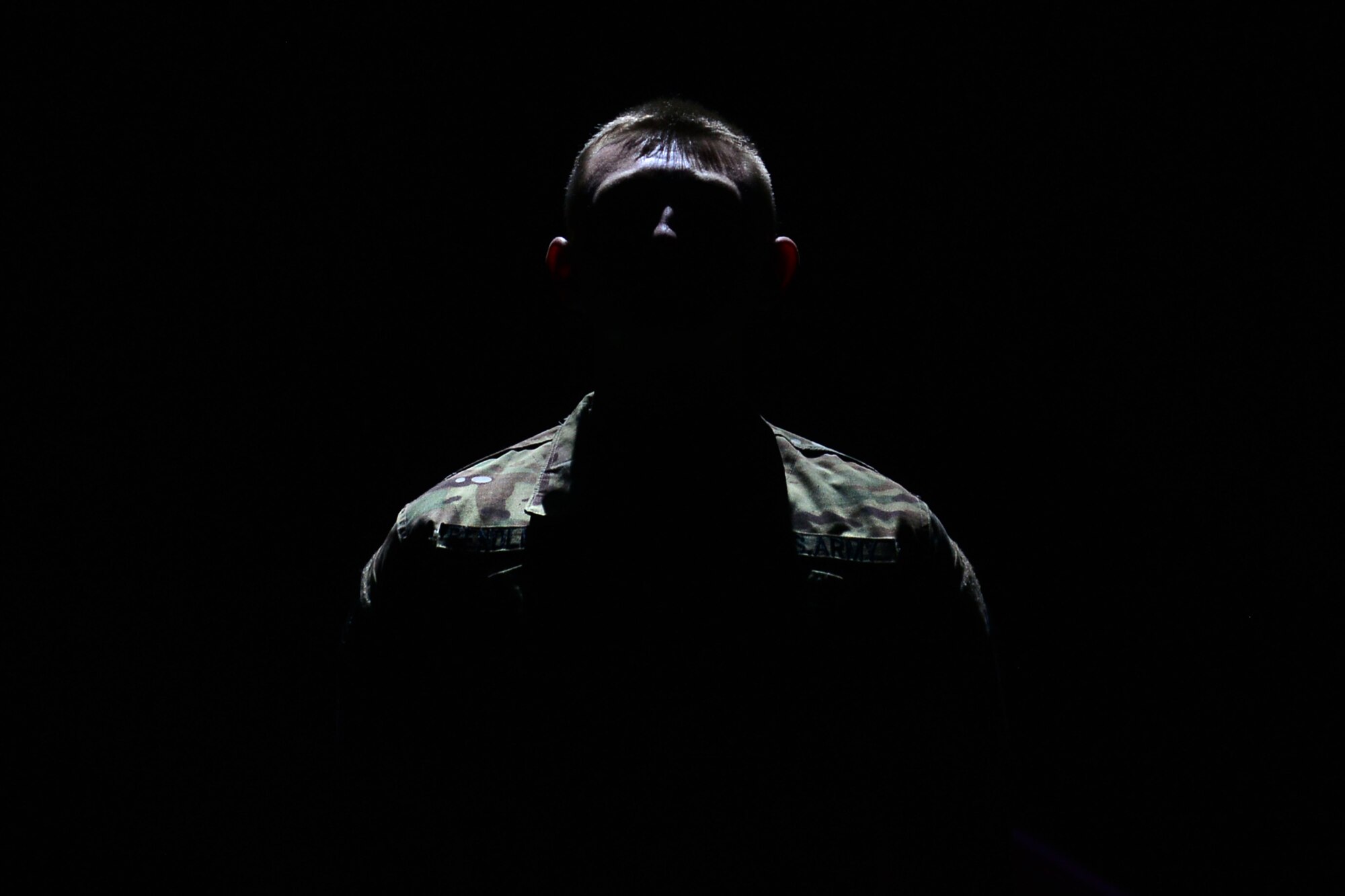 U.S. Army Pfc. Eric Pendleton, U.S. Army Morale, Welfare and Recreation Programs Soldier Show performer, sings during a performance at Fort Eustis, Va., July 15, 2015. The 2015 Soldier Show cast and crew put on two performances for Soldiers and their families at Fort Eustis, and paid special tribute to Gold Star family members. (U.S. Air Force photo by Staff Sgt. Natasha Stannard/Released)